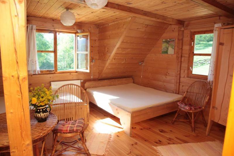 Ferienwohnung U Prezesa Lutowiska Exterior foto